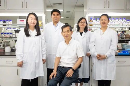 重大突破刷屏 中國實現二氧化碳合成淀粉,背后的合成生物技術是什么來頭