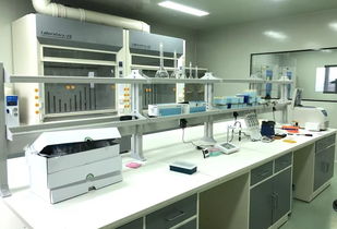 追夢人故事② 竹石生物 創(chuàng)始人欒圖 推進(jìn)智慧農(nóng)業(yè),給百姓安全餐桌