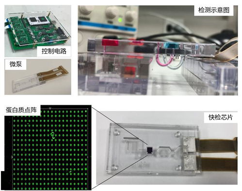 上海工研院微流控技術(shù)推進(jìn)生物芯片研發(fā)，引領(lǐng)生物科技新浪潮